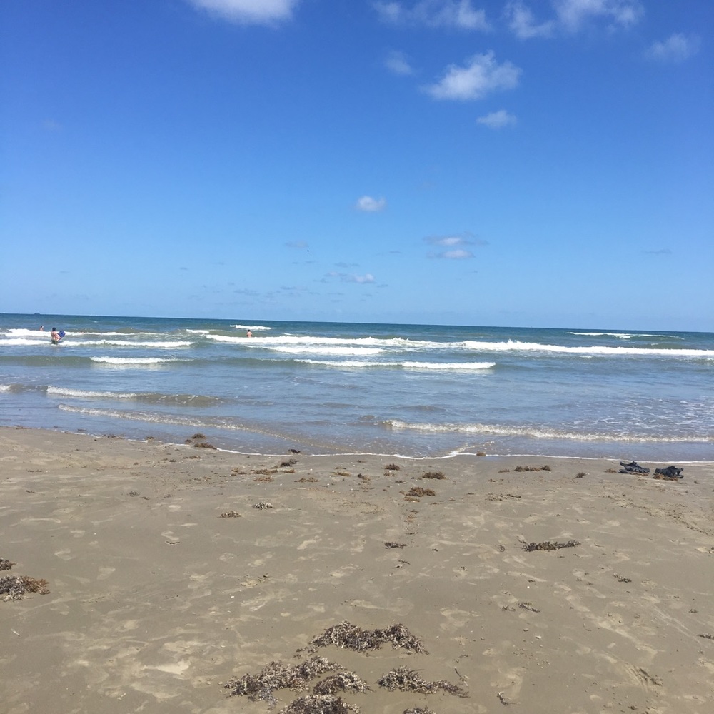 Meet your Posher, Nadine